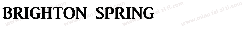 brighton spring字体转换